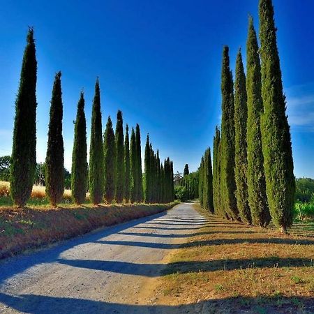 Agriturismo Boschetto Di Montiano Montiano  Buitenkant foto