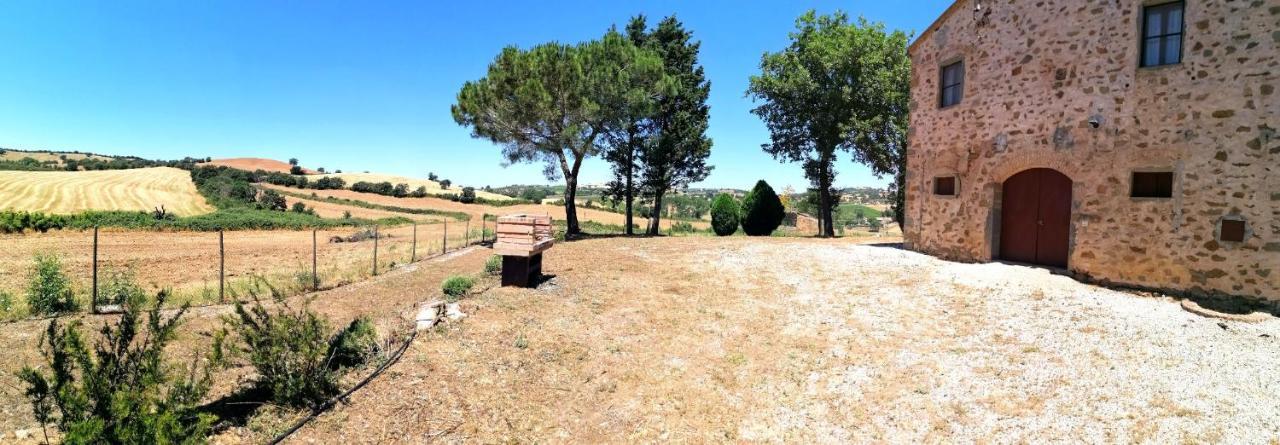 Agriturismo Boschetto Di Montiano Montiano  Buitenkant foto