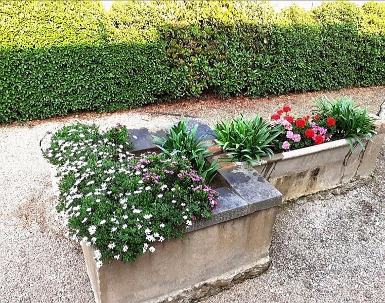 Agriturismo Boschetto Di Montiano Montiano  Buitenkant foto