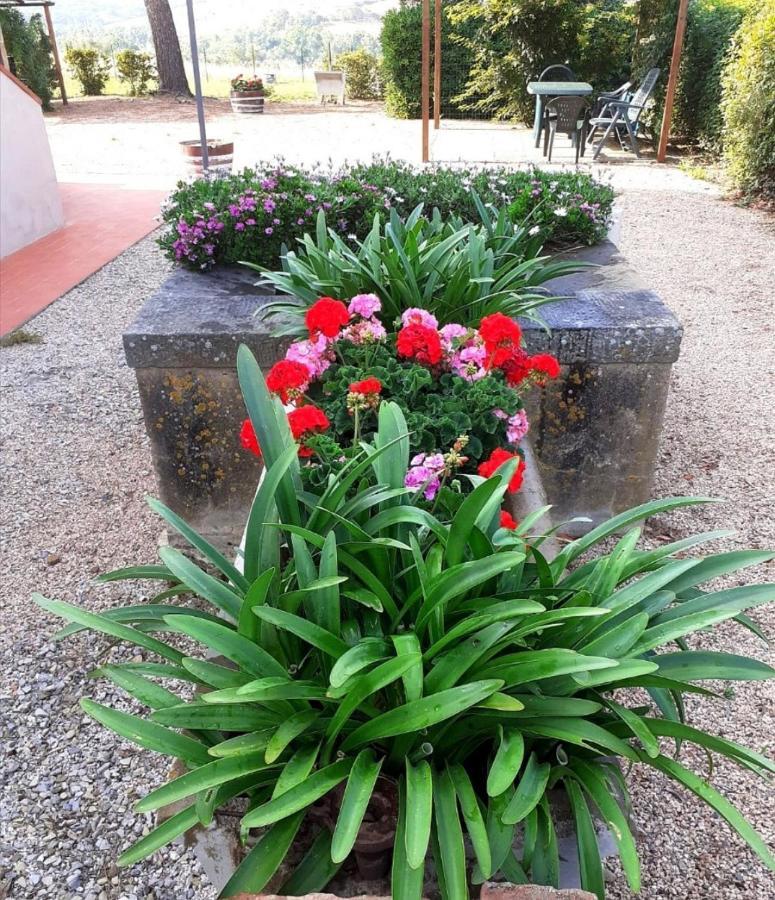Agriturismo Boschetto Di Montiano Montiano  Buitenkant foto