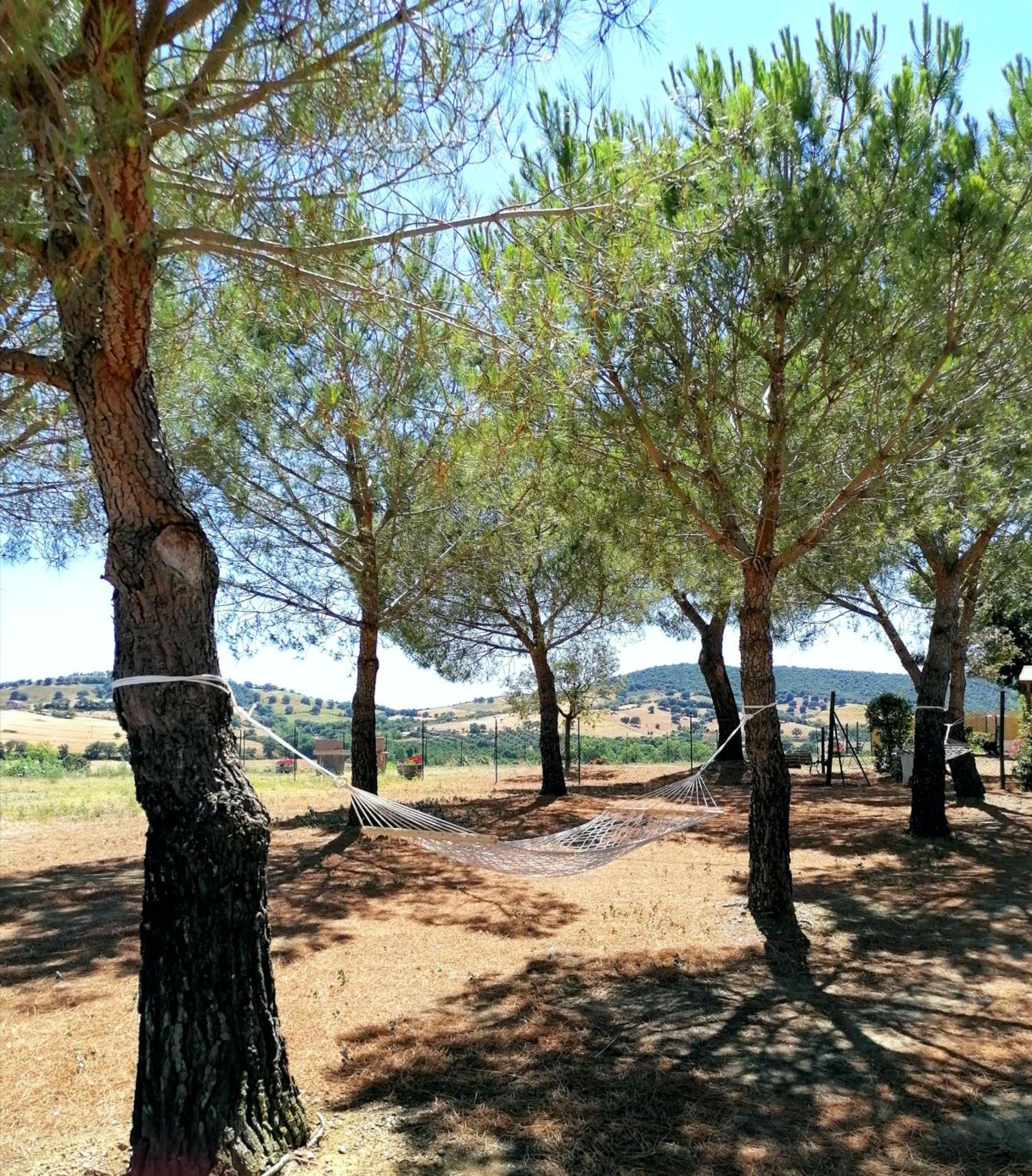 Agriturismo Boschetto Di Montiano Montiano  Kamer foto