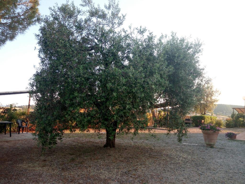 Agriturismo Boschetto Di Montiano Montiano  Buitenkant foto