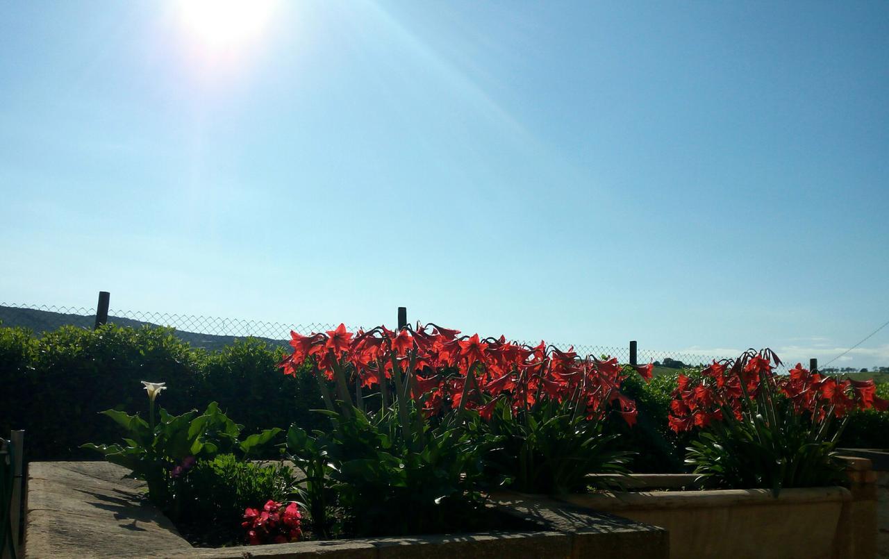 Agriturismo Boschetto Di Montiano Montiano  Buitenkant foto