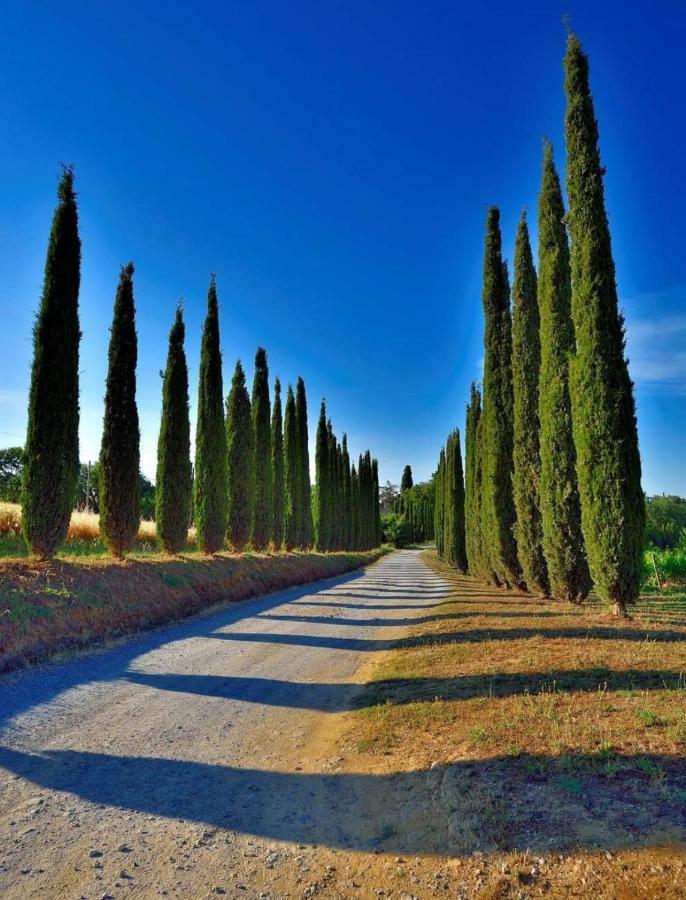 Agriturismo Boschetto Di Montiano Montiano  Buitenkant foto